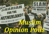Muslim Opinion Polls
